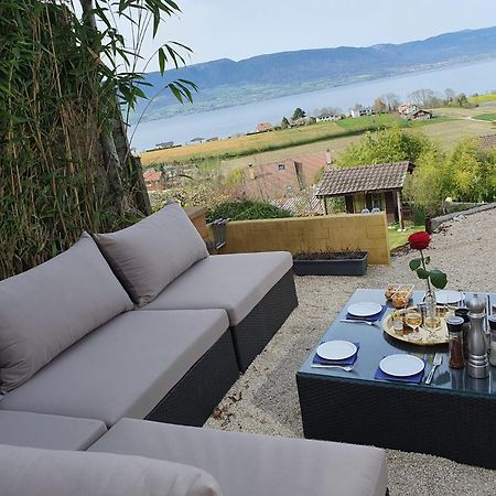 Chalet With Stunning Lake And Mountain Views Avec Une Vue A Couper Le Souffle, Une Spacieuse Terrasse Et Jardin Chatillon  Екстериор снимка