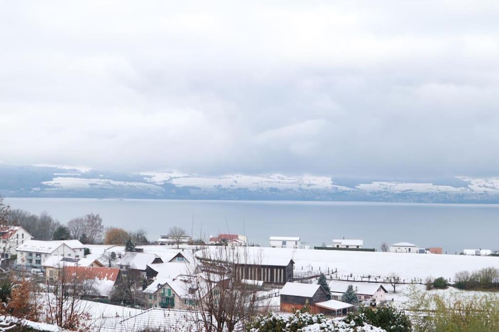Chalet With Stunning Lake And Mountain Views Avec Une Vue A Couper Le Souffle, Une Spacieuse Terrasse Et Jardin Chatillon  Екстериор снимка