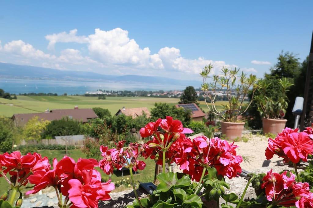 Chalet With Stunning Lake And Mountain Views Avec Une Vue A Couper Le Souffle, Une Spacieuse Terrasse Et Jardin Chatillon  Екстериор снимка